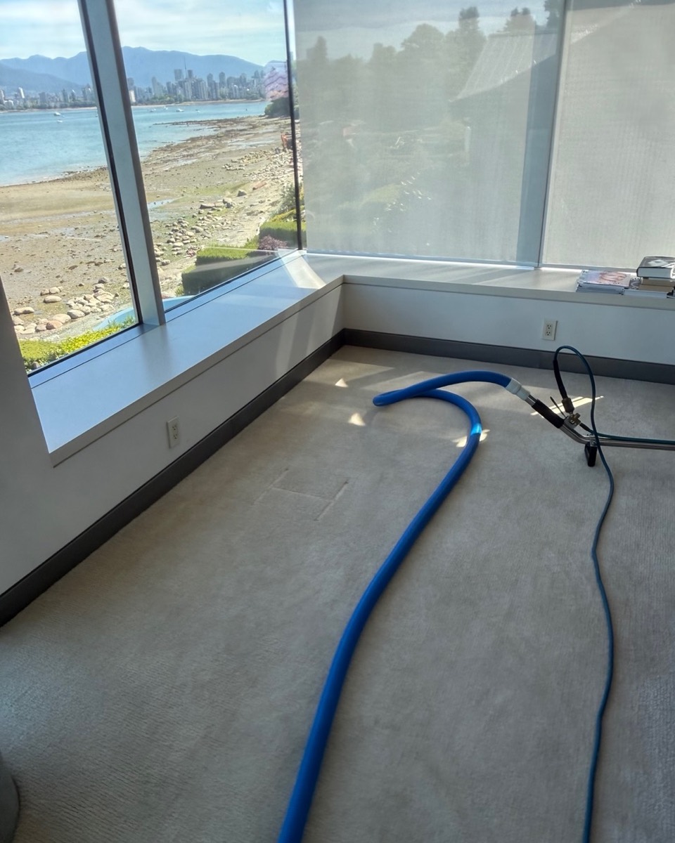 Freshly steam-cleaned cream carpet with a hot-water extraction wand in a Vancouver home with ocean and mountain views