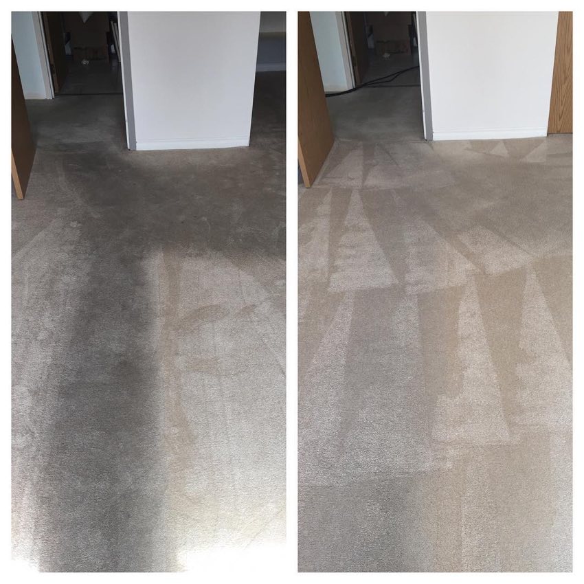 Carpet stain removal by First Class Carpet Cleaning, Vancouver