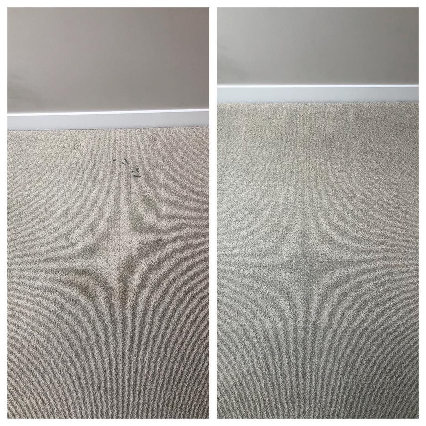 Professional carpet steam-cleaning result in Vancouver