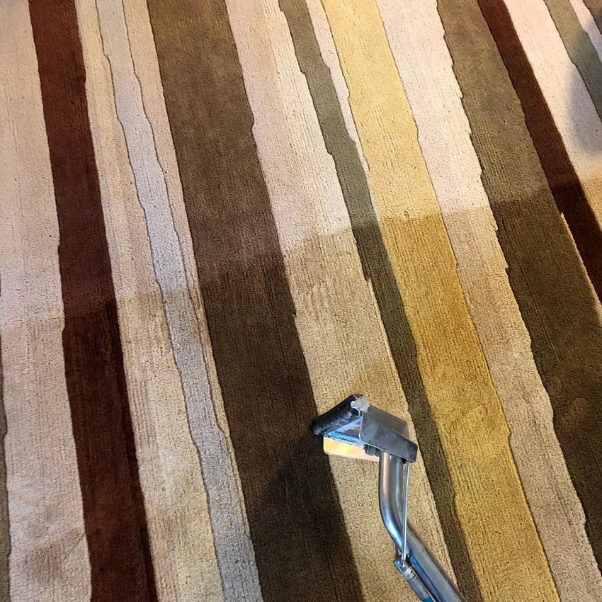 Carpet stain removal by First Class Carpet Cleaning, Vancouver