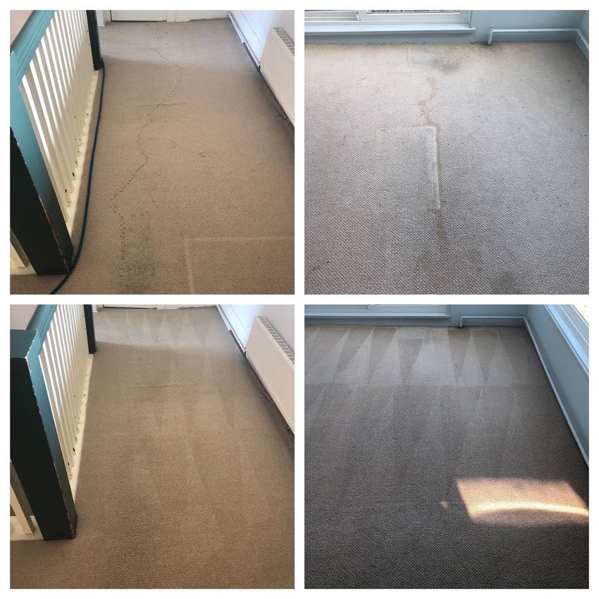 Freshly cleaned carpet with groomed strokes in Metro Vancouver