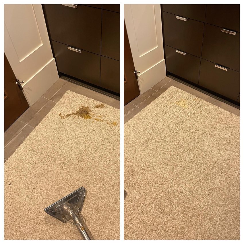 Clean, dry and residue-free carpet in Metro Vancouver