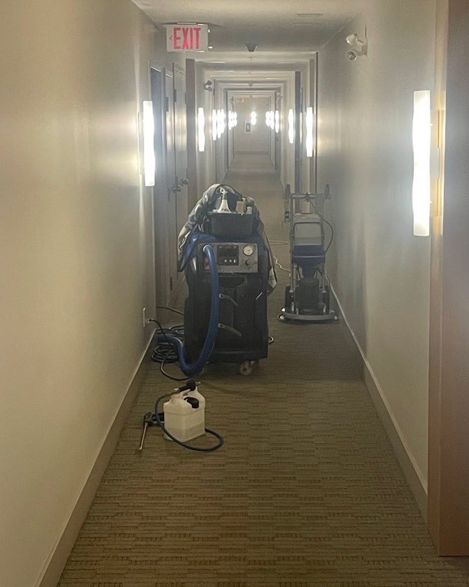 Freshly cleaned carpet with groomed strokes in Metro Vancouver