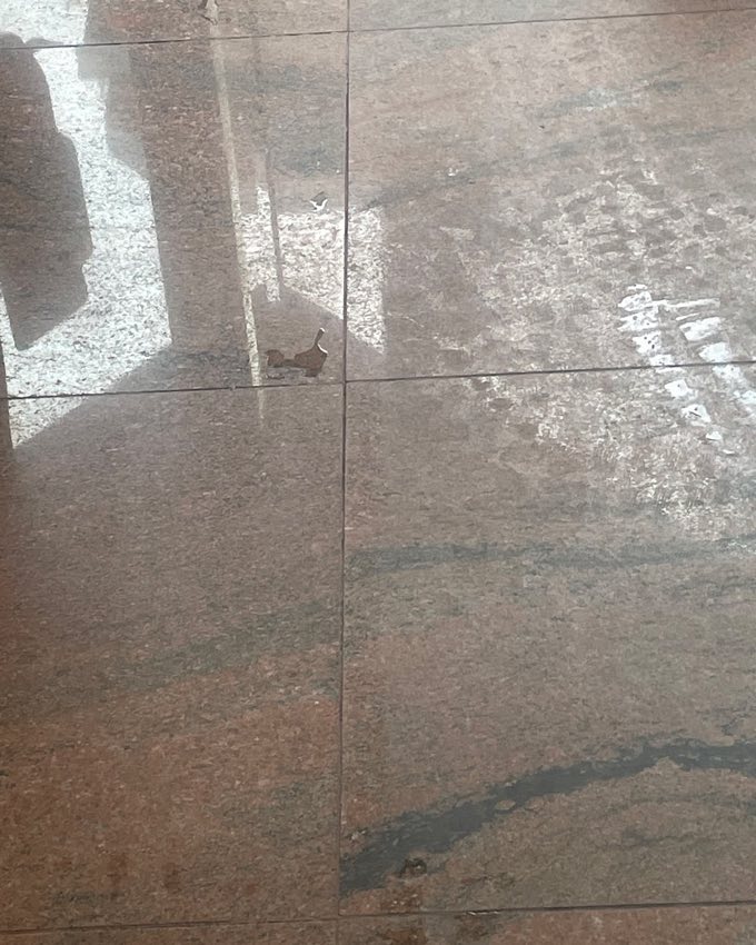 Tile and grout cleaning result in Vancouver