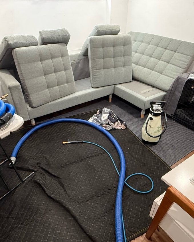Designer sofa cleaned by First Class Carpet Cleaning, Vancouver