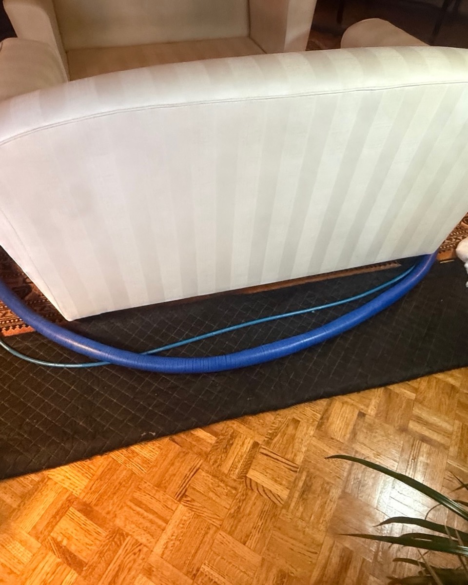White striped sofa being cleaned on an oriental rug in a Vancouver home